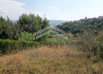 Foto 5 - Terreno agricolo Castelbottaccio - foto 5