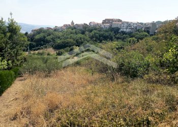 Foto 6 - Terreno agricolo Castelbottaccio - foto 6