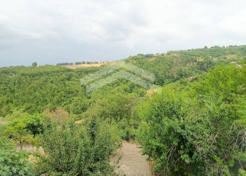 Foto 17 - Stabile - Palazzo Castelbottaccio - foto 17