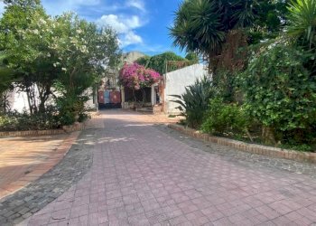 Giardino - Villa via Milioti, Carini - foto 3