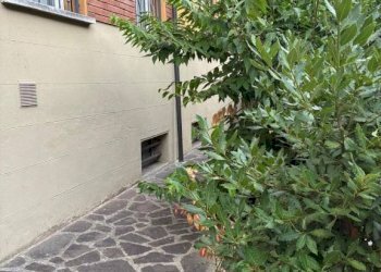 Giardino - Terreno non edificabile via Romagna, Bologna (zona Mazzini) - foto 23