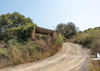Casale Strada Provinciale 478, 76, Radicofani - foto 24