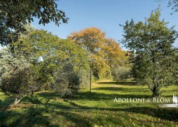 Casale Città della Pieve - photo 40
