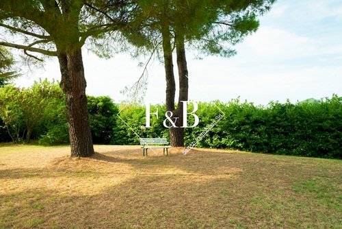 Villa Castel Boglione, Castel Boglione - photo 3