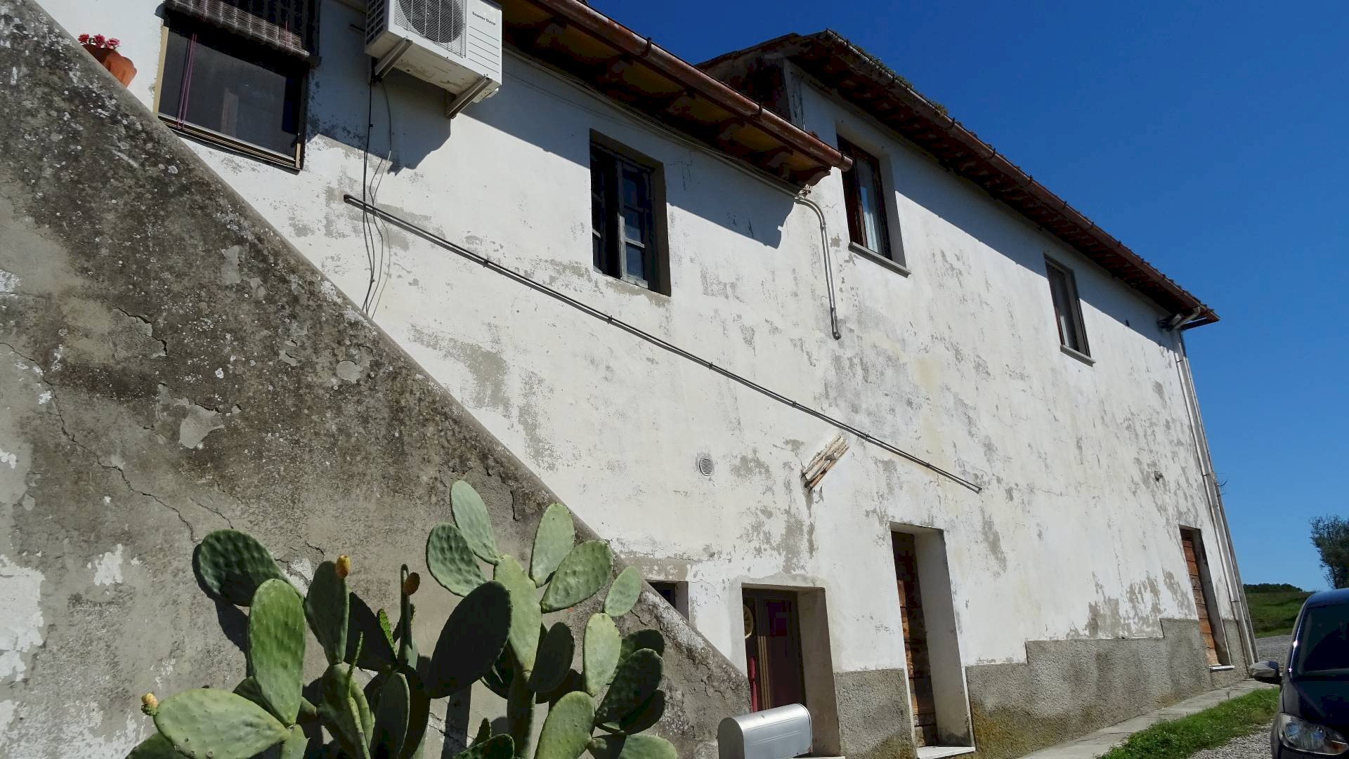 Foto 1 - Azienda agricola Montespertoli - foto 1