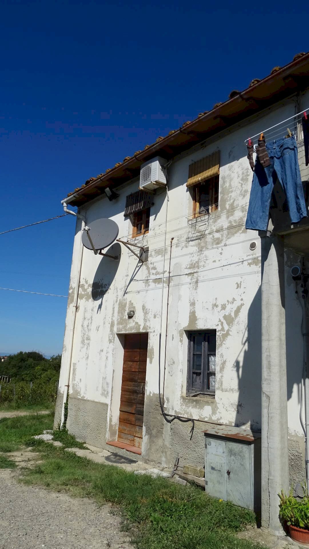 Foto 3 - Azienda agricola Montespertoli - foto 3