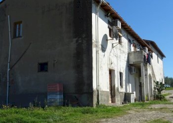 Foto 5 - Azienda agricola Montespertoli - foto 5