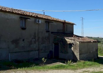 Foto 11 - Azienda agricola Montespertoli - foto 11