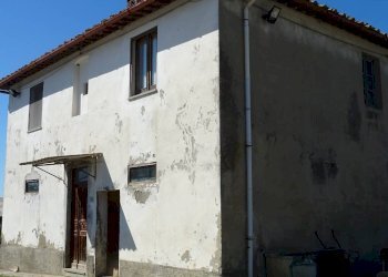 Foto 12 - Azienda agricola Montespertoli - foto 12