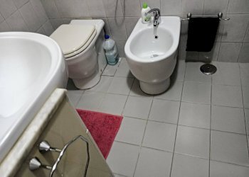 Foto 20 - Azienda agricola Montespertoli - foto 20