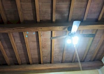 Foto 25 - Azienda agricola Montespertoli - foto 25