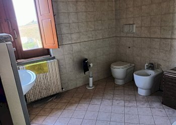 Foto 31 - Azienda agricola Montespertoli - foto 31