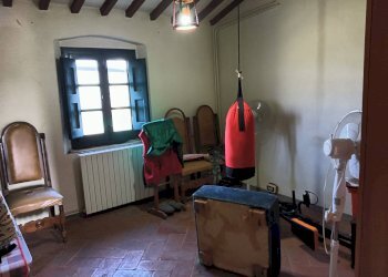 Foto 35 - Azienda agricola Montespertoli - foto 35