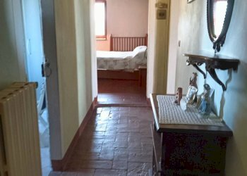 Foto 36 - Azienda agricola Montespertoli - foto 36