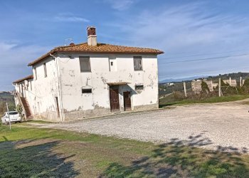 Foto 39 - Azienda agricola Montespertoli - foto 39