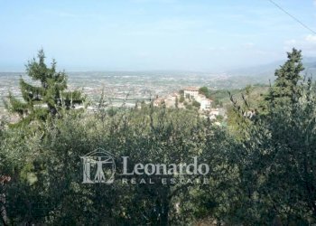 Foto 29 - Casa indipendente Via Balza Fiorita, Camaiore - foto 29