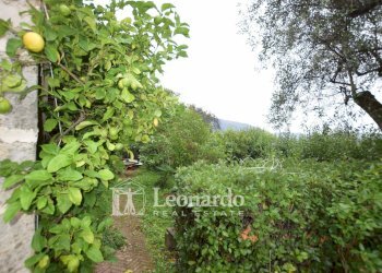 Foto 57 - Casa indipendente Via Balza Fiorita, Camaiore - foto 57