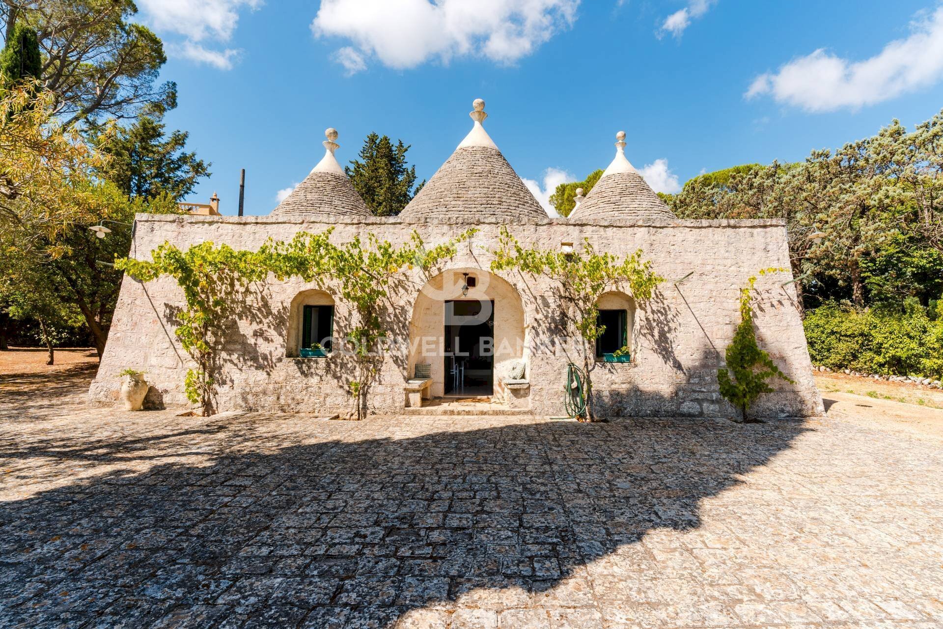 Foto 2 - Villa VIALE DEL MINARETO
26, Fasano - foto 2