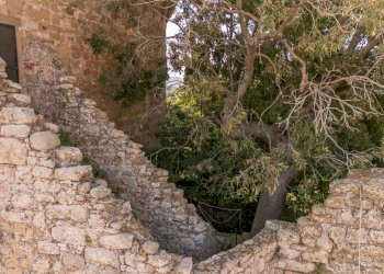 Foto 30 - Villa via dell'Università
 
0, Magione - foto 30