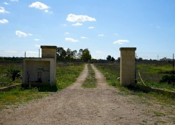 Foto 22 - Villa Via Vecchia Poggiardo, Poggiardo - foto 22