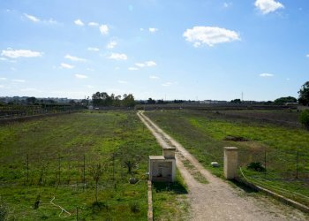 Foto 24 - Villa Via Vecchia Poggiardo, Poggiardo - foto 24