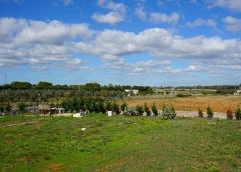 Foto 25 - Villa Via Vecchia Poggiardo, Poggiardo - foto 25