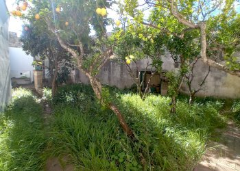 Foto 12 - Villa Piazza Goffredo Mameli
 
14, Minervino di Lecce - foto 12