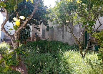 Foto 13 - Villa Piazza Goffredo Mameli
 
14, Minervino di Lecce - foto 13