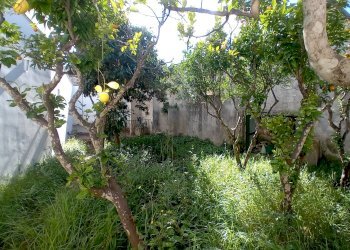 Foto 14 - Villa Piazza Goffredo Mameli
 
14, Minervino di Lecce - foto 14