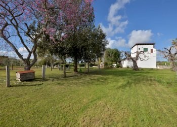 Foto 10 - Villa Carpignano Salentino - foto 10