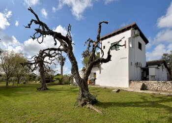 Foto 11 - Villa Carpignano Salentino - foto 11