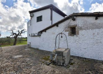 Foto 16 - Villa Carpignano Salentino - foto 16