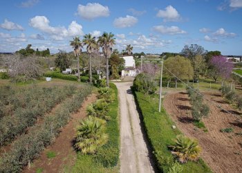 Foto 42 - Villa Carpignano Salentino - foto 42