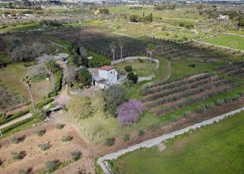 Foto 44 - Villa Carpignano Salentino - foto 44