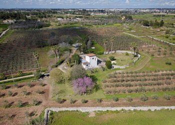 Foto 45 - Villa Carpignano Salentino - foto 45