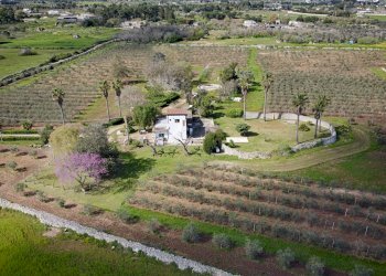 Foto 46 - Villa Carpignano Salentino - foto 46