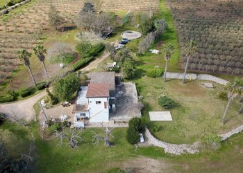 Foto 47 - Villa Carpignano Salentino - foto 47