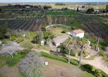 Foto 50 - Villa Carpignano Salentino - foto 50