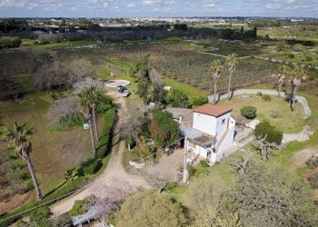 Foto 51 - Villa Carpignano Salentino - foto 51