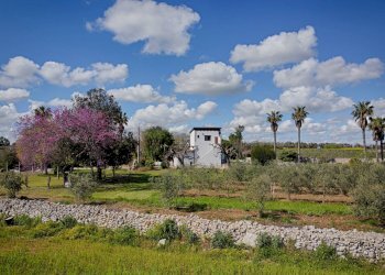 Foto 56 - Villa Carpignano Salentino - foto 56