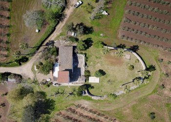 Foto 58 - Villa Carpignano Salentino - foto 58