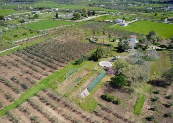 Foto 59 - Villa Carpignano Salentino - foto 59