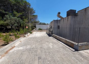 Foto 19 - Villa Castrignano del Capo - foto 19