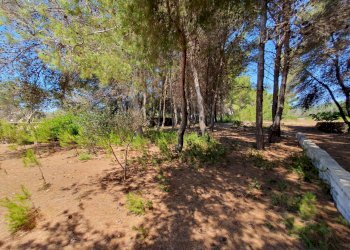 Foto 25 - Villa Castrignano del Capo - foto 25