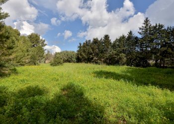 Foto 26 - Villa Castrignano del Capo - foto 26