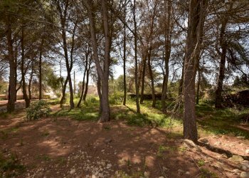 Foto 27 - Villa Castrignano del Capo - foto 27