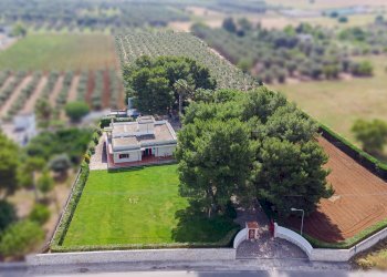 Foto 24 - Villa Oria - foto 24