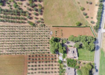 Foto 26 - Villa Oria - foto 26