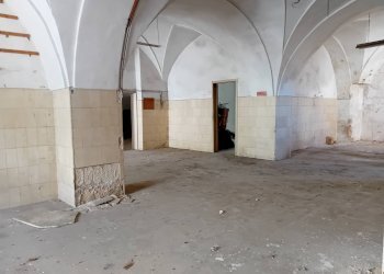 Foto 7 - Magazzino Taviano - foto 7