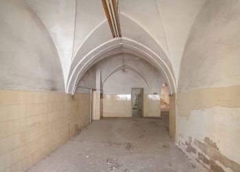 Foto 11 - Magazzino Taviano - foto 11